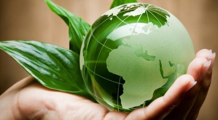 Galateo green: le sane abitudini per rispettare la natura