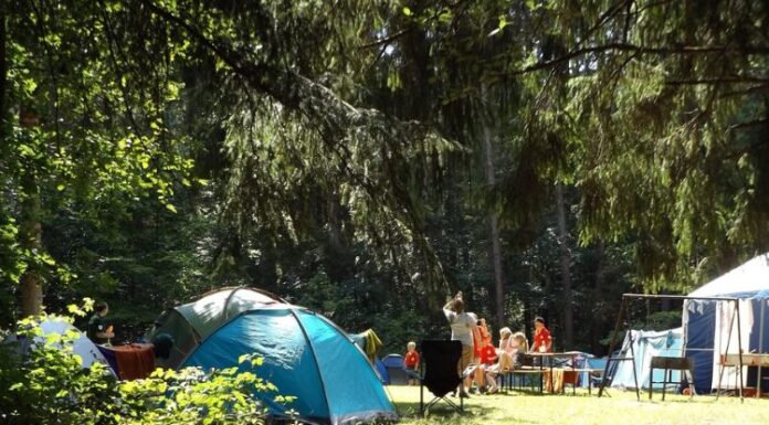 Campi estivi per bambini: come sceglierli? Campi estivi per bambini